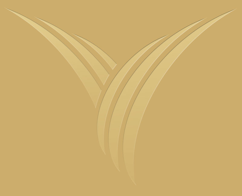Logo Hautarztpraxis Doctor-medic Ionica Vais Logo Hautarztpraxis Doctor-medic Ionica Vais